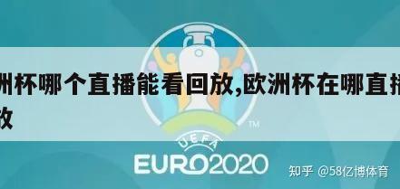 欧洲杯哪个直播能看回放,欧洲杯在哪直播有回放