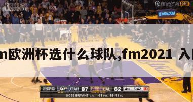 fm欧洲杯选什么球队,fm2021 入欧