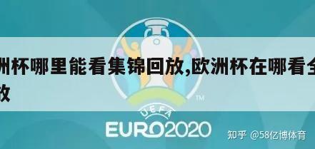 欧洲杯哪里能看集锦回放,欧洲杯在哪看全场回放